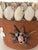Shell Vintage Terracota Flower Pot Encrusted With Sea Shells For Sale - Image 7 of 7