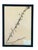 A beautifully curated set of six authentic French herbarium specimens, dated 1965 and professionally custom framed in...