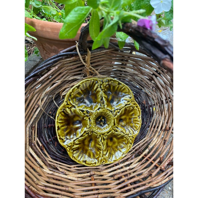 1950s French Gien Majolica Olive Green Oyster Plate For Sale - Image 14 of 15