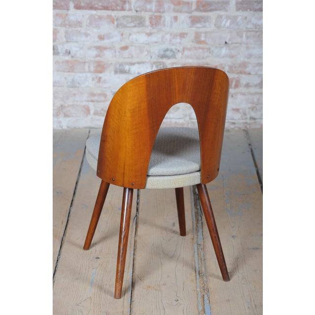 Beige Mid-Century Chairs in Walnut attributed to Antonín Šuman, Czech, 1950s, Set of 4 For Sale - Image 8 of 18