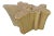 Organic Modern Nature Wood Color Coffee Table For Sale