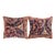 Decorative Antique Indian Agra Rug Pillows with Floral Elements - A Pair For Sale