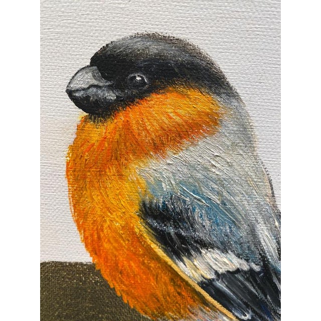 Anastasia Gklava, Eurasian Bullfinch, Orange & Black Bird Composition, Painting with Gold Leaf on Round Canvas, 2025 For Sale - Image 6 of 18