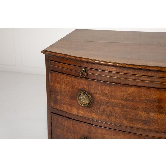 19th Century Regency English Mahogany Bow Fronted Chest of Drawers For Sale - Image 5 of 9