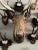 Late 19th Century Wood Carved Stag Head Blakc Forest Deer Carving For Sale - Image 9 of 9