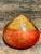 Wood Vintage Lacquered Clam Shell Box For Sale - Image 7 of 12
