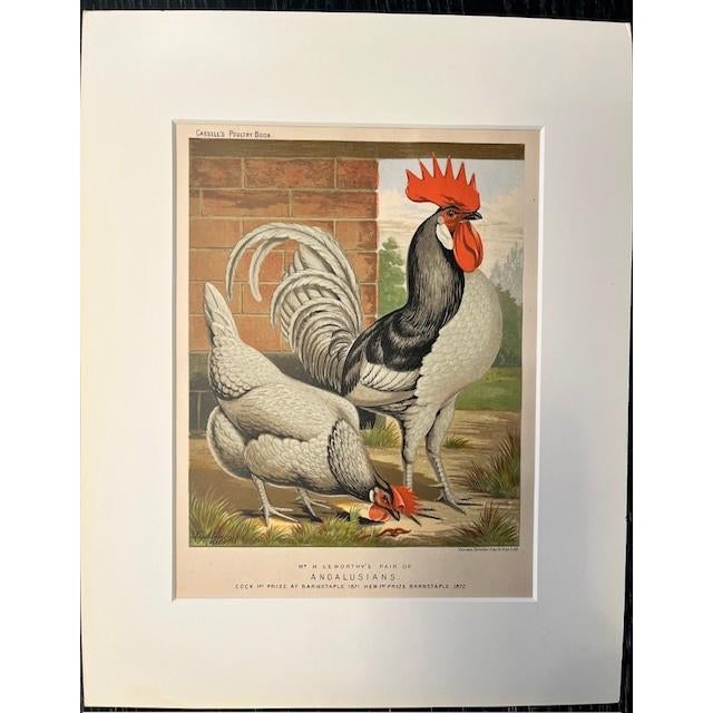 Pair 1872 Vintage Lithos, - Hens + Cocks Reproduction For Sale In New York - Image 6 of 8