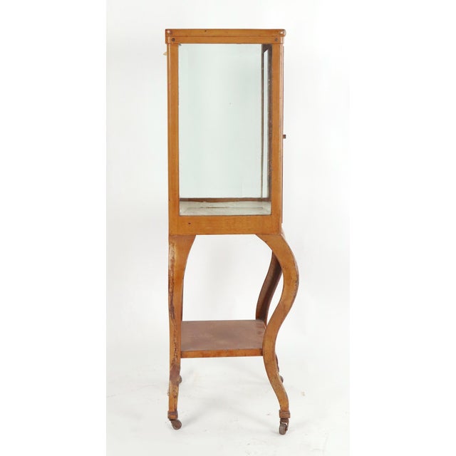 Vintage Art Deco Brown Steel Medical Display Cabinet For Sale - Image 11 of 13