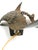 Bohemian wall arm in the shape of a sailing fish, from the 1980s. Handmade bronze wall lighting that emits a pleasant...