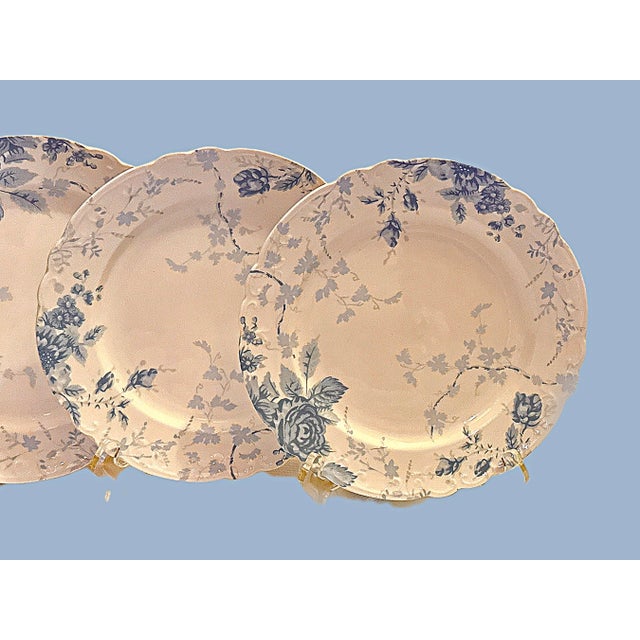 Ceramic Blue and White Scalloped Plates - New With Tags, S/4 For Sale - Image 7 of 11