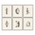 Sculpture I, II, III, IV, V and VI by Susan Hable For Sale