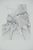 Gochka Charewicz, Tronc et racines, Lithograph For Sale - Image 8 of 8