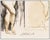 Realism Mid 20th Century Reflection, Aaron Bohrod For Sale - Image 3 of 6