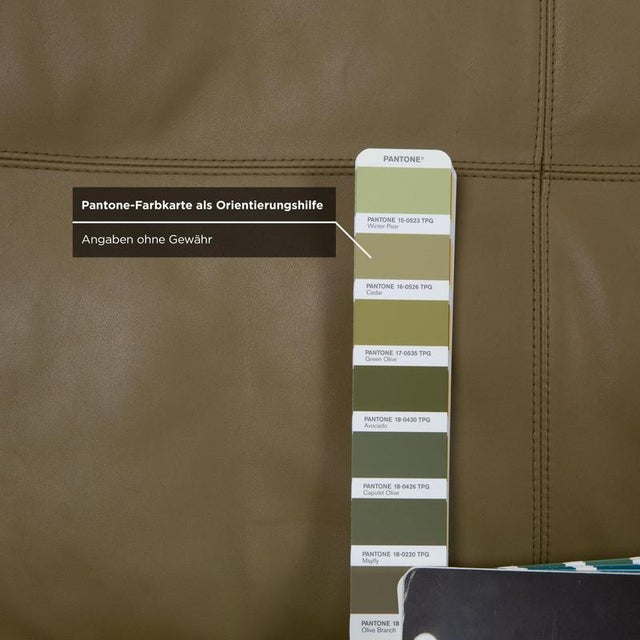 Green Three-Seater Leather Sofa from Rolf Benz For Sale - Image 8 of 13