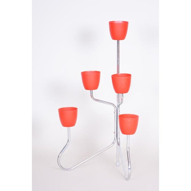 Bauhaus Czech Bauhaus Plant Stand in Chrome-Plated Steel, 1950s For Sale - Image 3 of 8