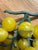 1960s Mid-Century Modern Italian Yellow Alabaster Grape Cluster For Sale - Image 9 of 9
