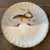 Traditional 19th Century Hand Painted Franz Mehlem Signed Porcelain Fish Platter & 10 Plates -Set of 11 For Sale - Image 3 of 13