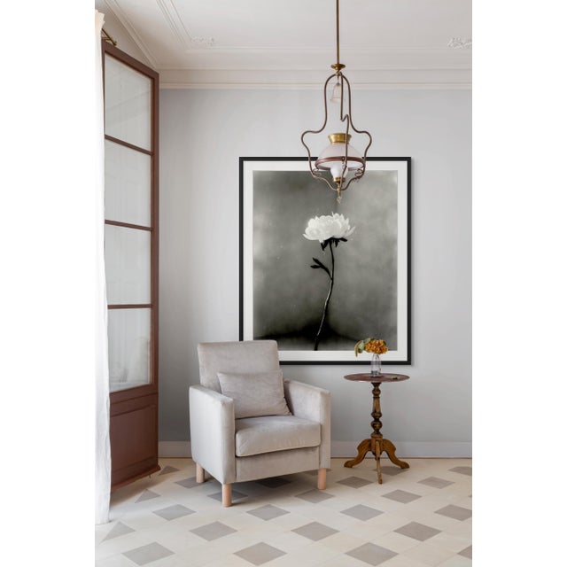 Peony No.15 - Analogue Black and White Floral Photography, 125 x 100 cm Peony No.15 is an analogue monochrome floral...