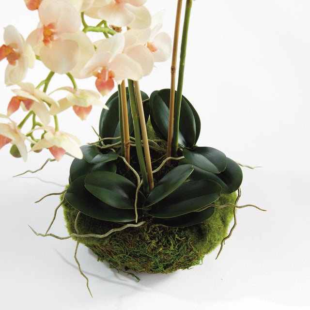 100% realistic a perfect copy of nature. This exquisite soft blush orchid dropin is a nomaintenance work of art. Right...