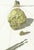 Original engraving from Salvador Dalí’s "The Divine Comedy" published by Editions d’Art Les Heures Claires, Paris, in...