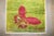 Green Turkish Anatolian Butterfly Rug dated 1975 rug no. j4972 For Sale - Image 4 of 7