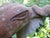 Handmade Clay Head, 1980s For Sale - Image 4 of 12