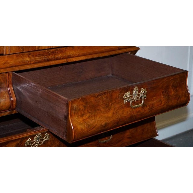 Antique Dutch Louis XV Style Burr Walnut Bombay Linen Press Cabinet, 1750 For Sale - Image 12 of 18