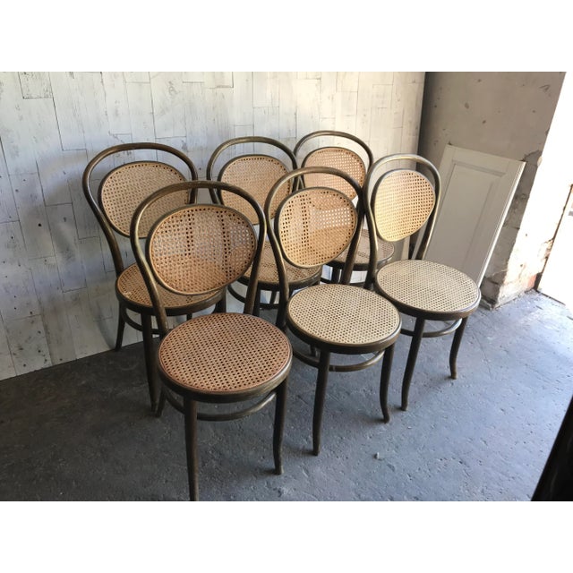 1960s Dining Chairs in Wood Cane, Germany, 1960s, Set of 6 For Sale - Image 5 of 9