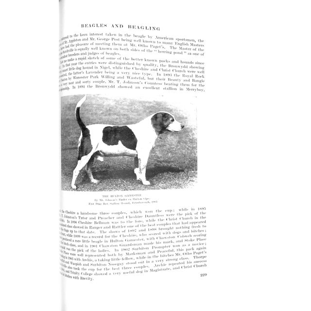 White "British Sports and Sportsmen: Hunting" 1935 For Sale - Image 8 of 10