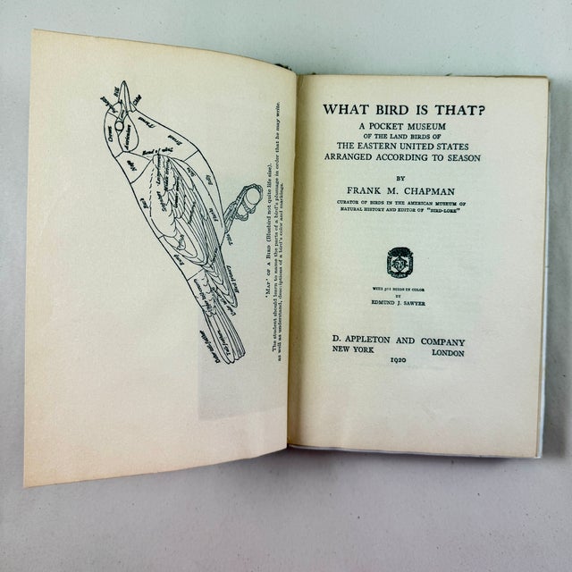 Antique American Bird Study Nature Books, 1909-1935, a Group of Four For Sale - Image 4 of 10