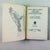 Antique American Bird Study Nature Books, 1909-1935, a Group of Four For Sale - Image 4 of 10