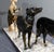 Art Deco Woman with Greyhounds, 1930, Patinated Metal For Sale - Image 18 of 18