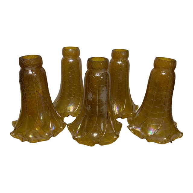 Mid 20th Century Iridized Glass Lamp Shades - Set of 5 For Sale