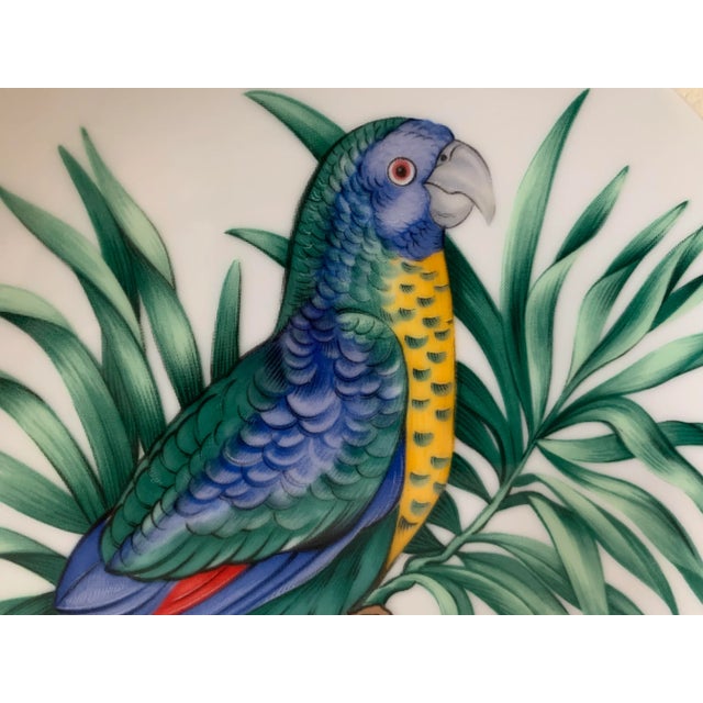 This is a single plate from the 4 exotic bird collection of 4. It measures 7 1/2" and was made by Fitz and Floyd during...