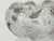 1920’s Italian Blown Glass Bowl Attributed to Ercole Barovier For Sale - Image 10 of 13
