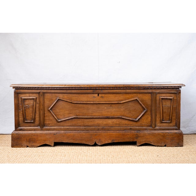 A large blanket chest, c. 1880, Italian. Features raised geometric panelling, a dentil frieze along the underside of the...