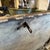 Late 19th Century Black and White Lacquered Wood Florentine Blanket Chest For Sale - Image 13 of 15