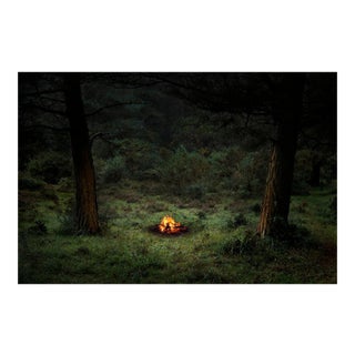 Fires 4, Ellie Davies, Contemporary Photography, Forest Imagery, 2018 For Sale