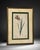 Vintage-Style Ixia Botanical Wall Art For Sale - Image 4 of 5