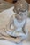 Nao by Lladro backstamp. Artist: Vicente Martinez Issued: 1992 Dimensions: 5.5"L x 4.5"W x 6"H Manufacturer: Nao by Lladro...