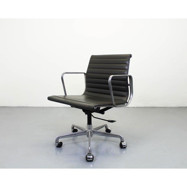 Very dark green color, the light significantly changes the perception of the color, here they appear green, with other...