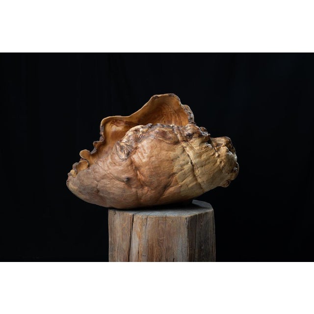 Rustic Large Swedish Wood Bowl, 1978 For Sale - Image 3 of 9