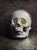 Busted Jaw by Matteo Di Ventra | Oil on linen board Still life of a human skull For Sale