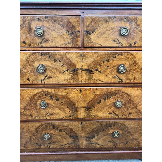 French 19th Century Louis Philippe Burl Walnut Chest of Drawers / Commode For Sale - Image 9 of 12