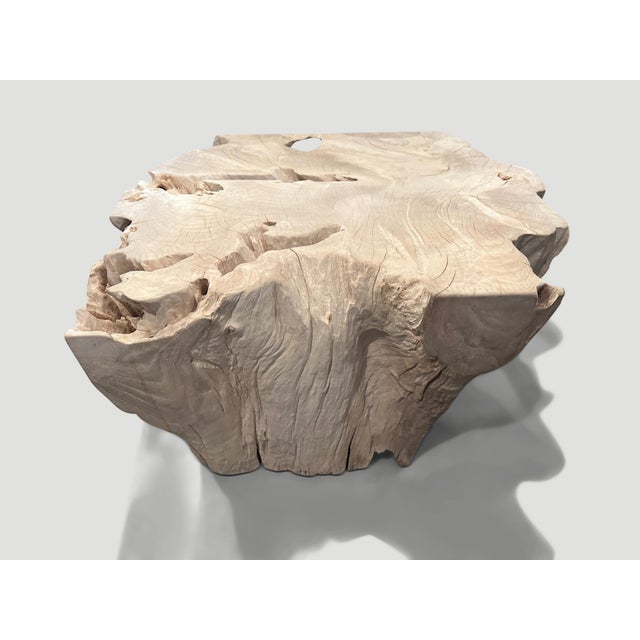 Andrianna Shamaris Bleached Teak Wood Sculptural Coffee Table or Pedestal For Sale - Image 16 of 18