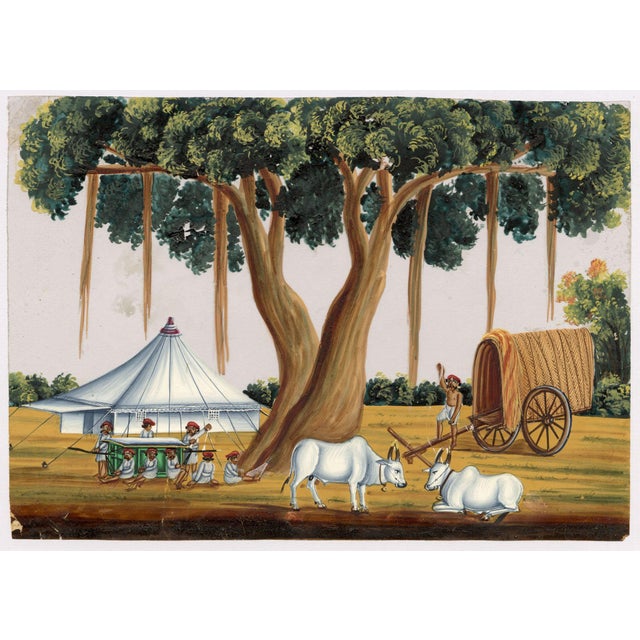 Indian Company School, Tent Pitched Under Banyan Tree, 1800s, Gouache on Paper For Sale - Image 5 of 9