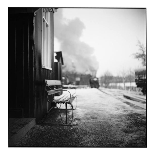 Paul Cooklin, Bench, Photograph For Sale