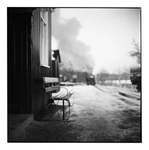 Paul Cooklin, Bench, Photograph