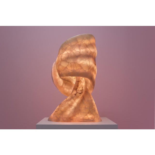 Gray Aqua Fossil Sculptural Table Light in Alabaster and Resin by Amarist Studio For Sale - Image 8 of 14