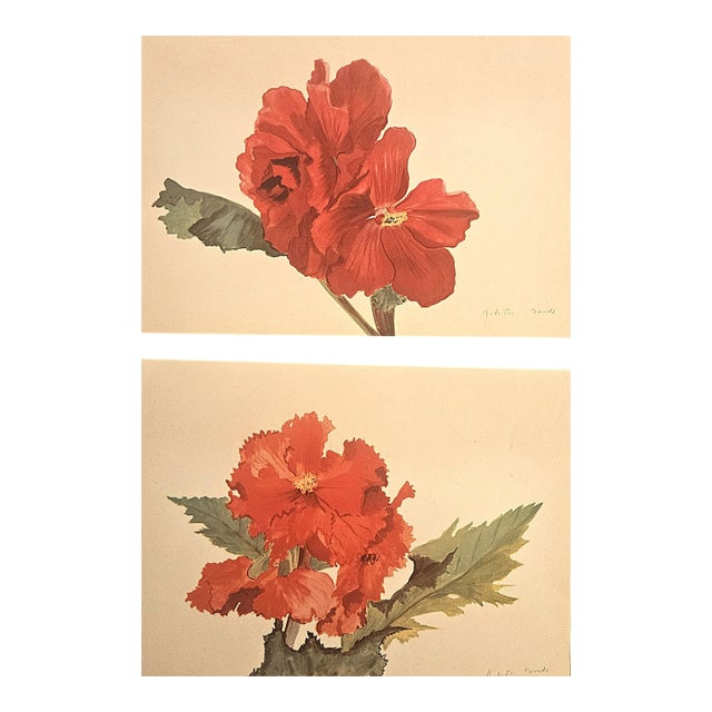 1940 Set of 2 French Mid-Century Arlette Davids Botanicals-Scarlet Mallow (Hibiscus) For Sale